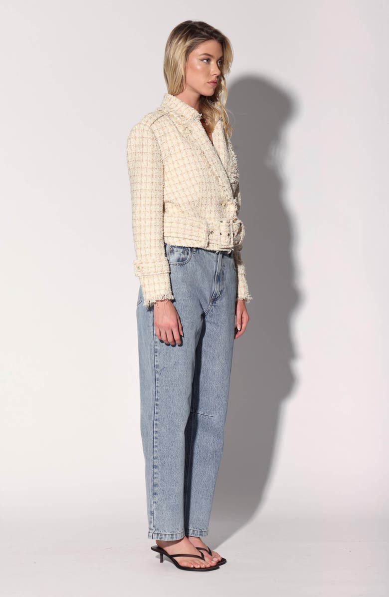 Walter Baker Vincenza Tweed Jacket, Alternate, color, Sahara Tweed