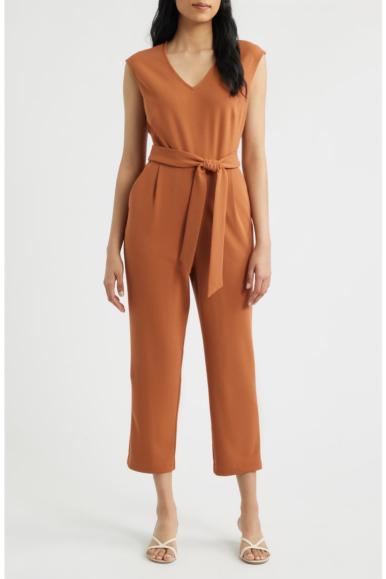 V-Neck Jumpsuit, Main, color, CEDAR SPICE