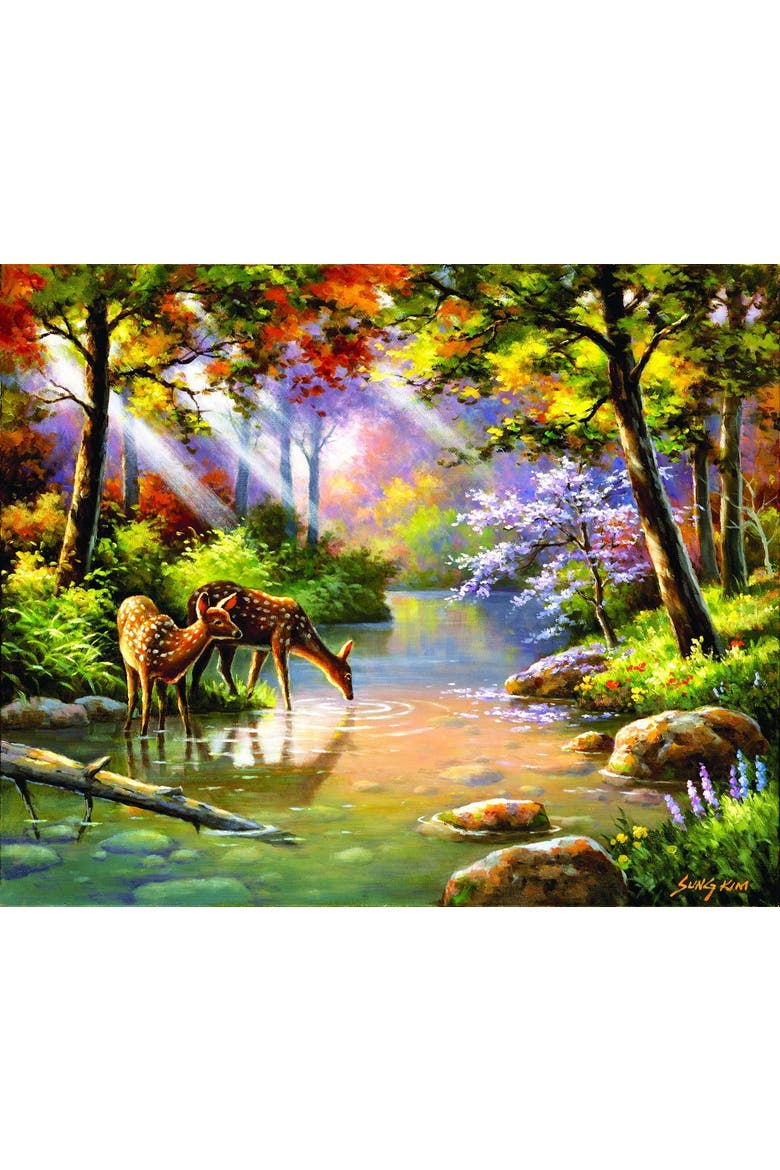 Doe Re Me Creek 1000 piece Jigsaw Puzzle for Adults, Alternate, color, Multicolor