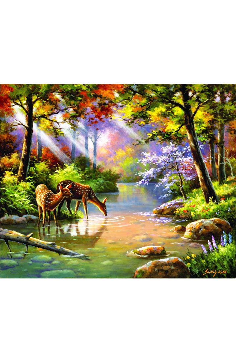 Sunsout Doe Re Me Creek 1000 piece Jigsaw Puzzle for Adults, Alternate, color, Multicolor