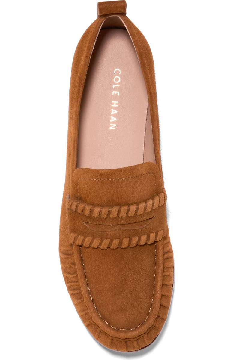 Cole Haan Danby Travel Loafer, Alternate, color, Tobacco Suede