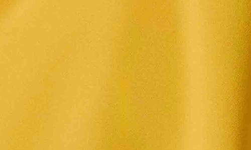 Kasper Tie Front Sleeveless Crepe Top In Butterscotch