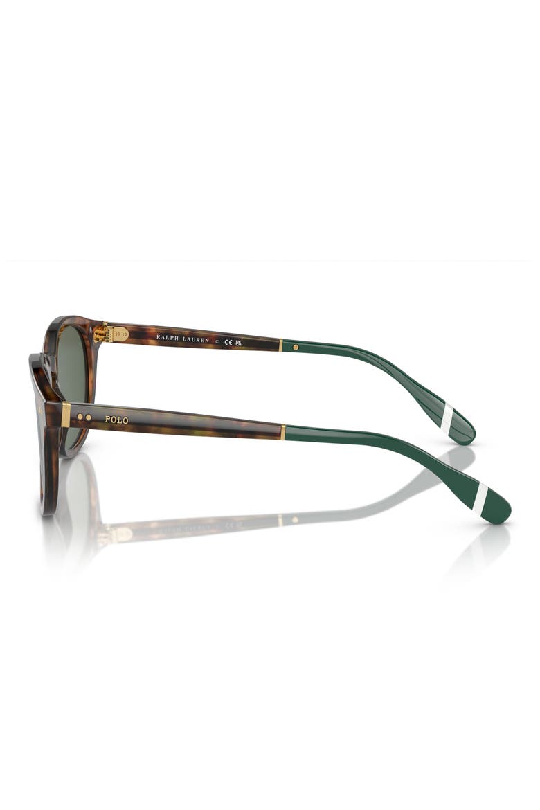 52mm Phantos Sunglasses, Alternate, color, SHINY BROWN TORTOISE / GREEN