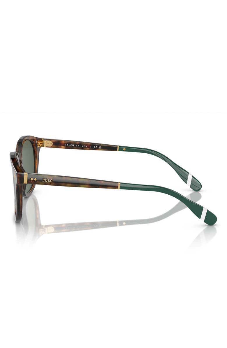 Polo Ralph Lauren 52mm Phantos Sunglasses, Alternate, color, Shiny Brown Tortoise / Green