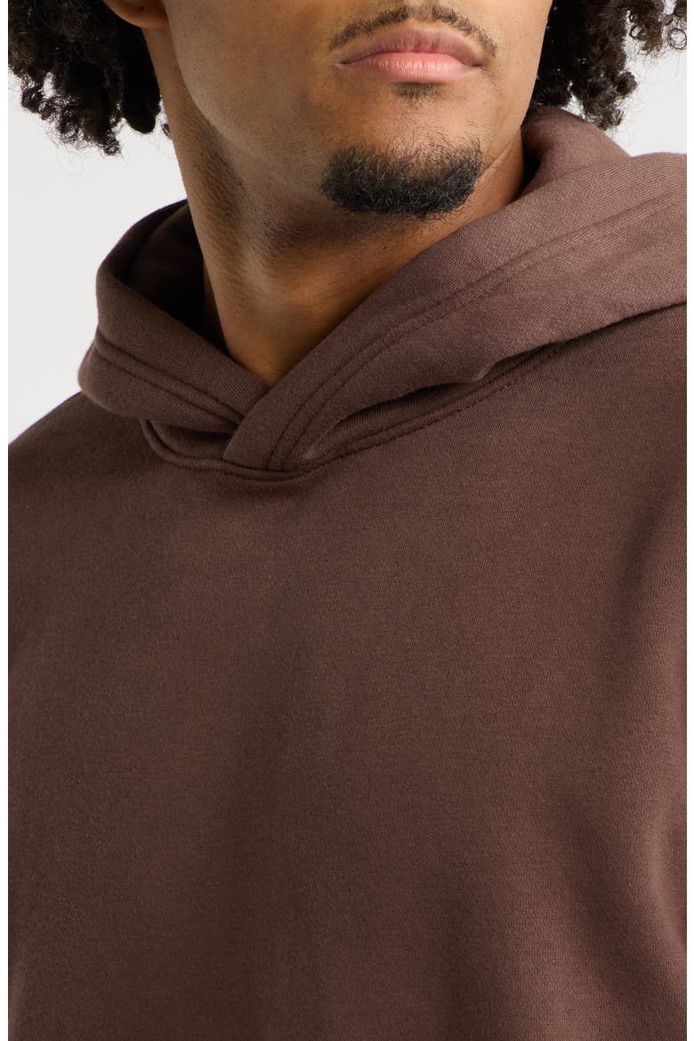 Fleece Hoodie, Alternate, color, BROWN BRACKEN