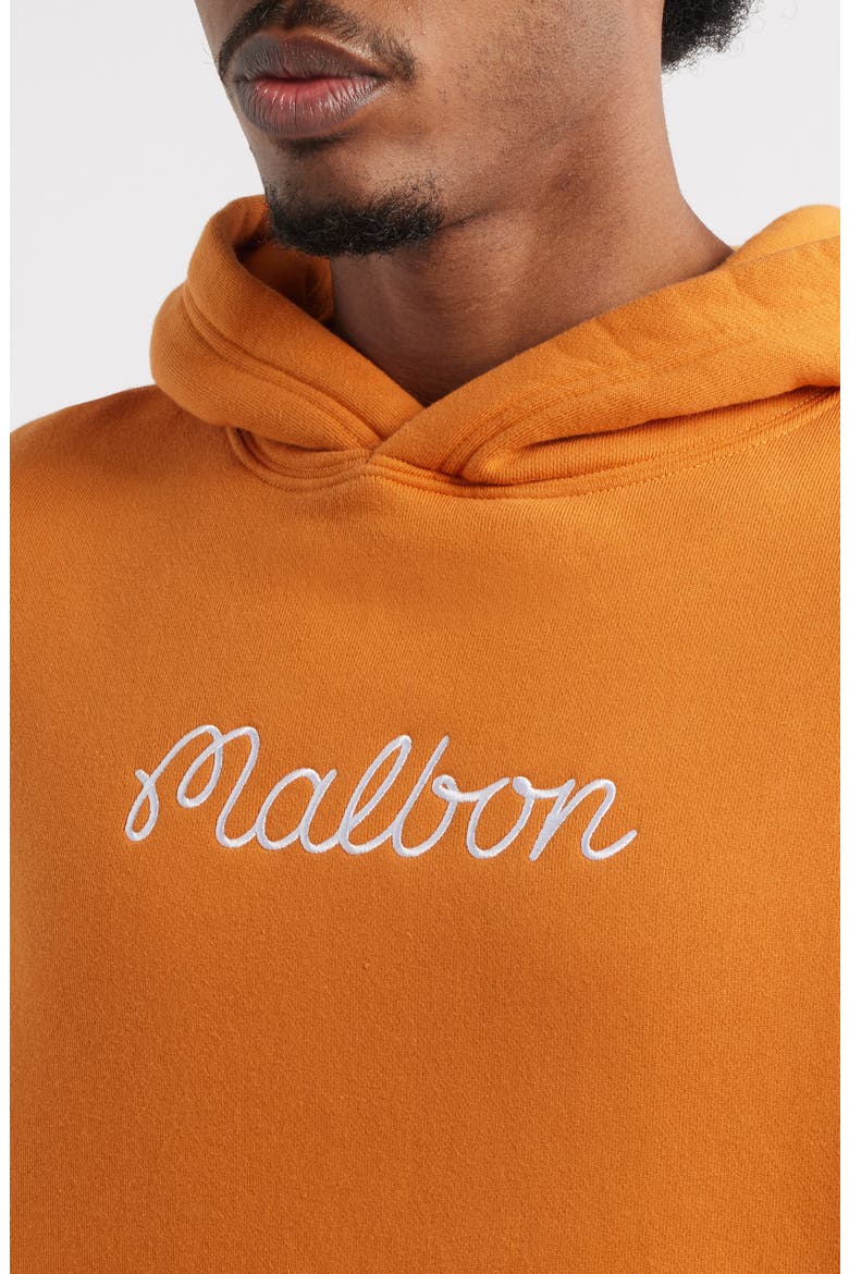 Fesque Cotton Fleece Hoodie, Alternate, color, MARMALADE