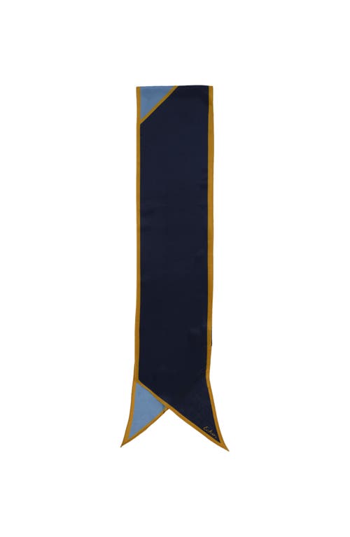 Echo Colorblock Silk Bias Scarf In Black