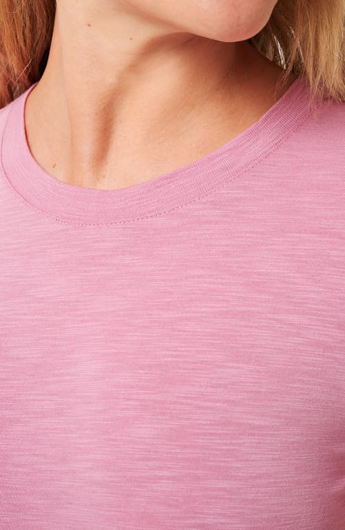 Travismathew Cloud Crewneck T-shirt In Pink