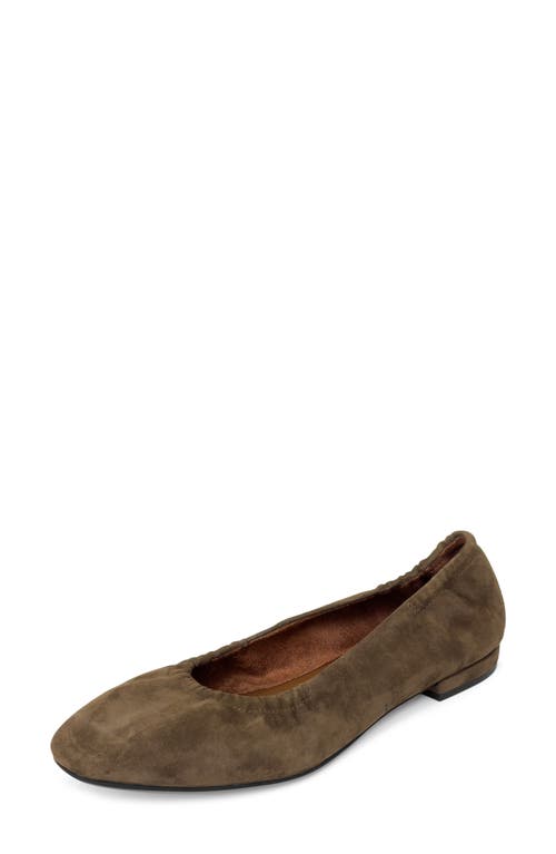 Aerosoles Antonia Flat In Multi
