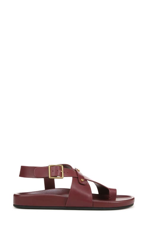 Franco Sarto Blair Ankle Strap Platform Sandal In Red