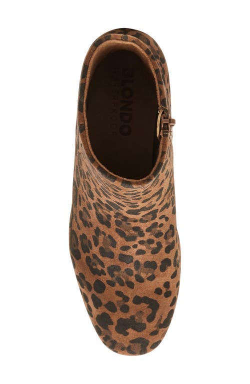 Blondo Alida Waterproof Bootie In Brown