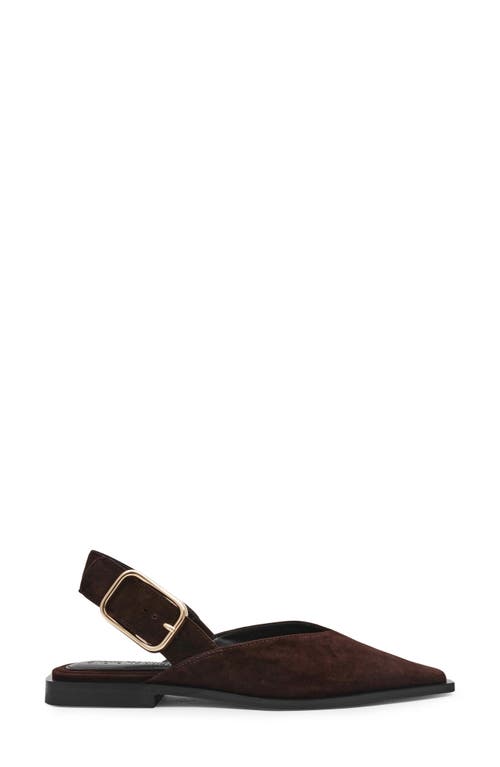 Steve Madden Shay Pointed Toe Slingback Flat In Burgundy