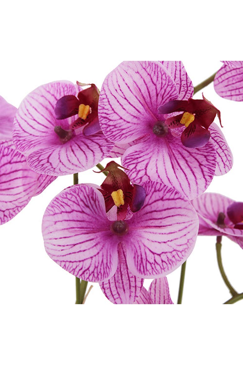 23" Phale Orchid, Alternate, color, Purple
