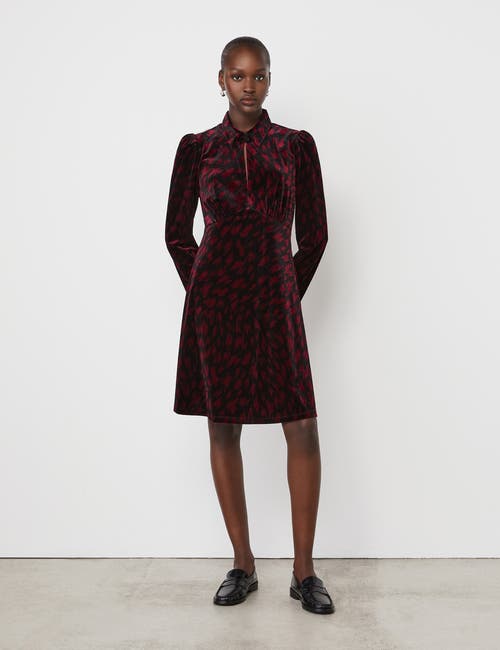 Finery London Capri Animal Print Knee Length Dress in Burgundy Animal  product
