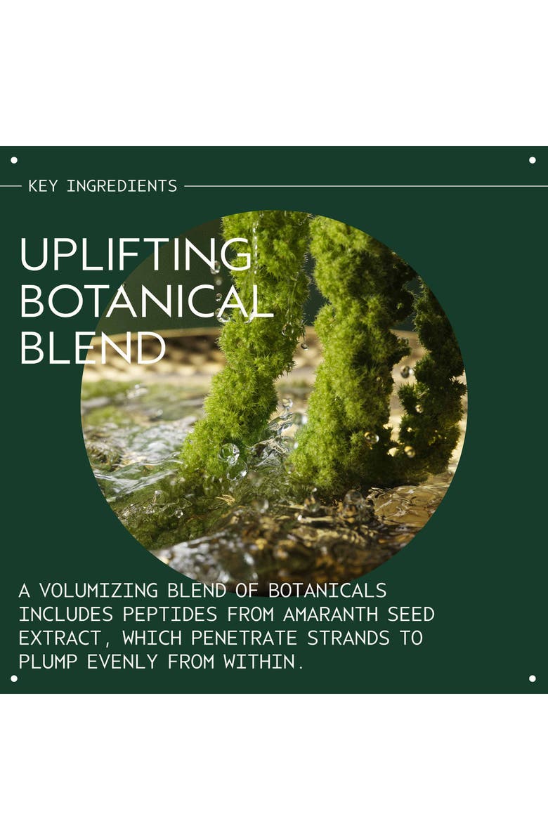 Aveda pure abundance<sup>™</sup> volumizing shampoo, Alternate, color, 