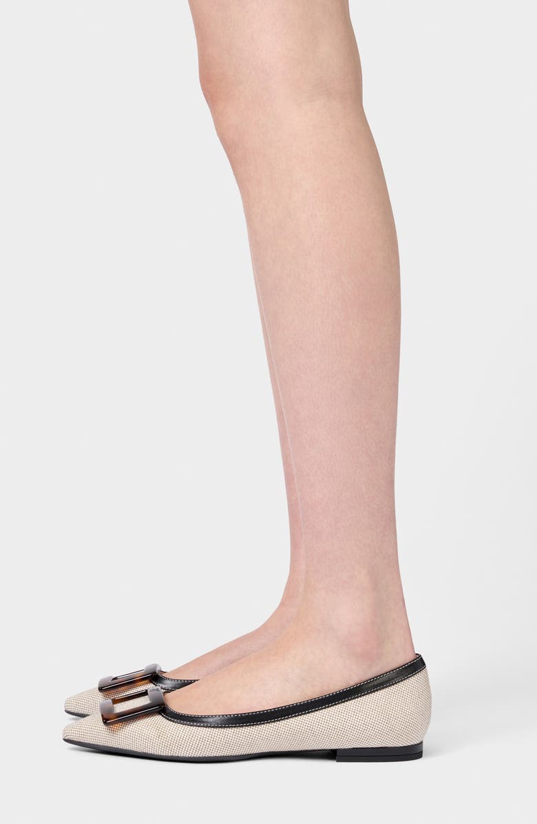 Roger Vivier Gommettine Pointed Toe Ballet Flat, Alternate, color, Daino/ Nero