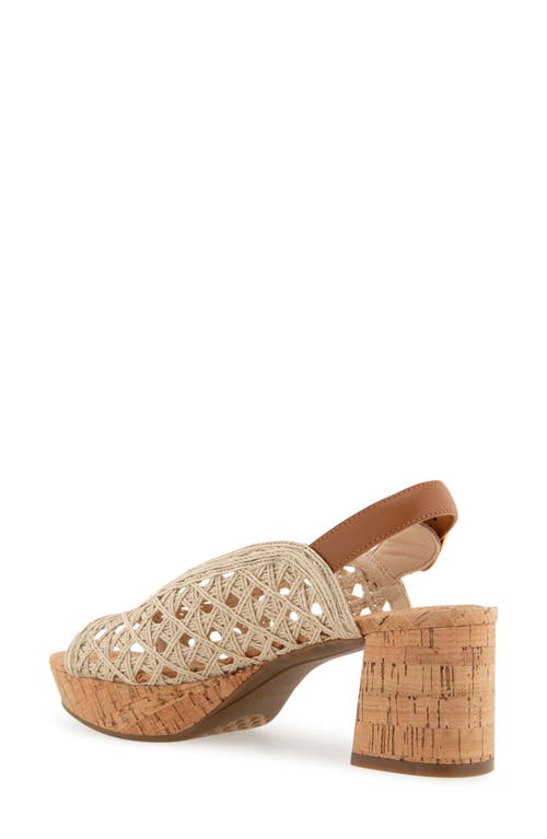 AEROSOLES AEROSOLES CORNELIA SLINGBACK PLATFORM SANDAL