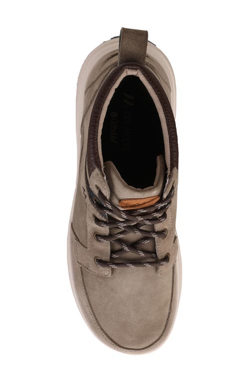 Mykos Lennon High Top Sneaker In Brown