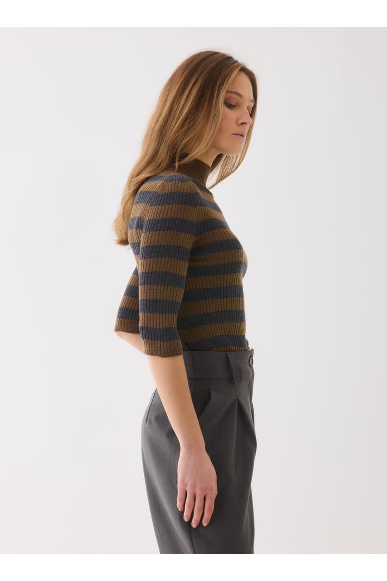 Merino Superfine Rib Knit Stripe Turtleneck, Alternate, color, CAMEL/ANTHRACITE CHINE