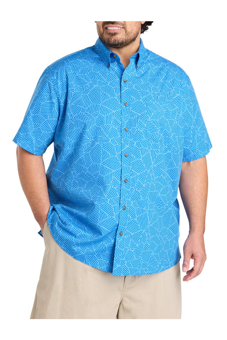 Big & Tall Easy-Care Striped Sport Shirt, Main, color, BLUE