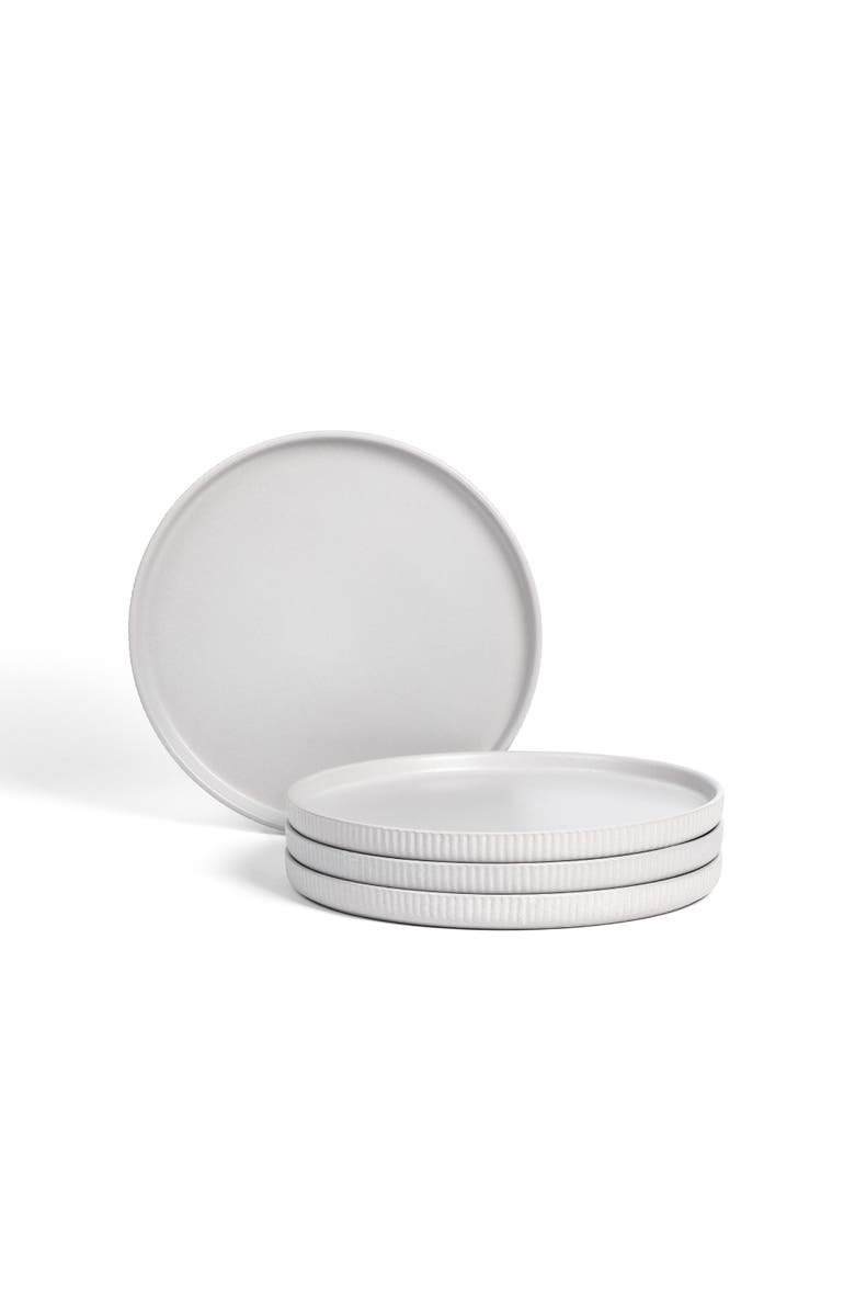 Stone Lain Haven Stoneware 4-Piece Dinner Plate Set, Main, color, 