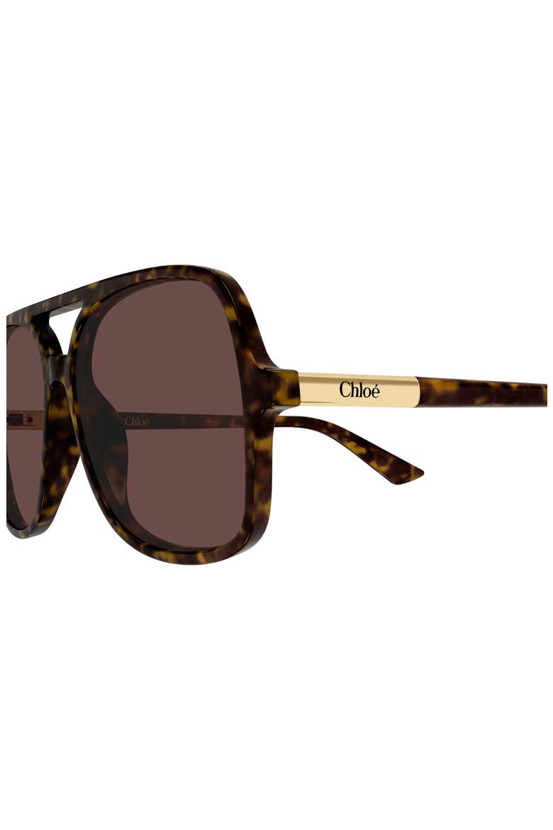 57mm Navigator Sunglasses, Alternate, color, SHINY DARK HAVANA