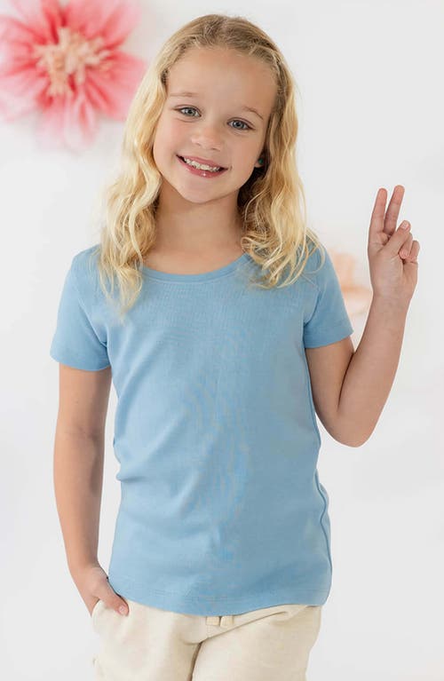 Mightly Organic Cotton Long Sleeve Ribbed Scoop Neck Tee In Chambray