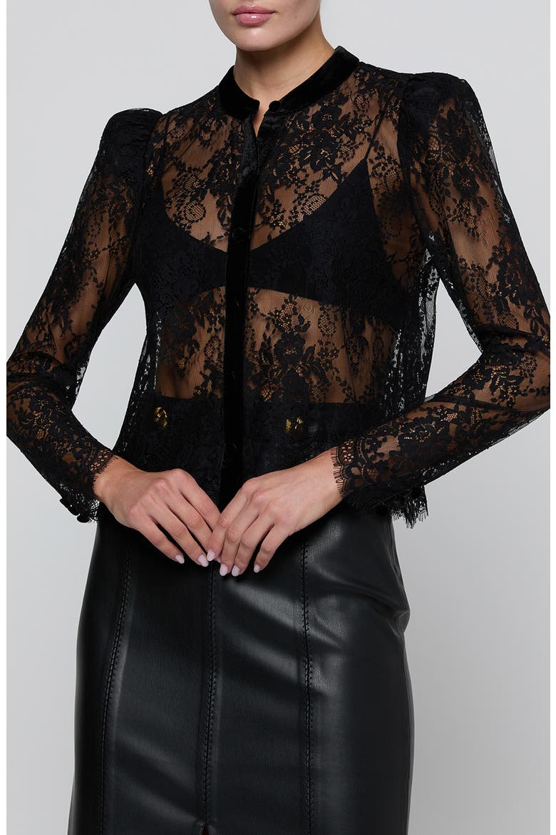Dorothea Lace Top with Velvet Trim, Main, color, BLACK