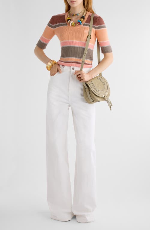 Chloé Striped Crewneck Rib Knit Cotton Top In Multi