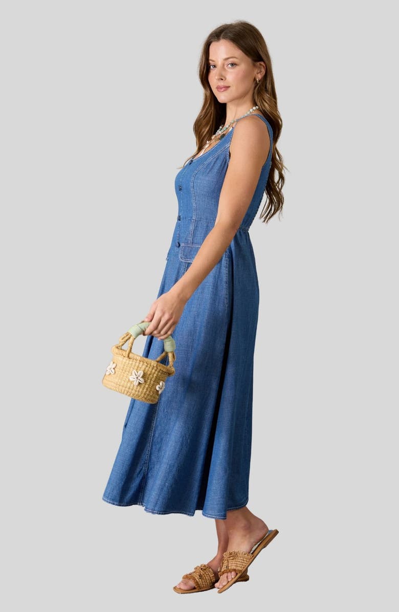Blu Pepper Sleeveless Denim Maxi Dress, Alternate, color, 