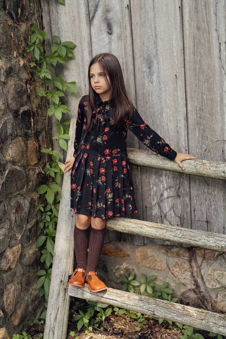 Long Sleeve Woven Rose Print Dress, Alternate, color, Black