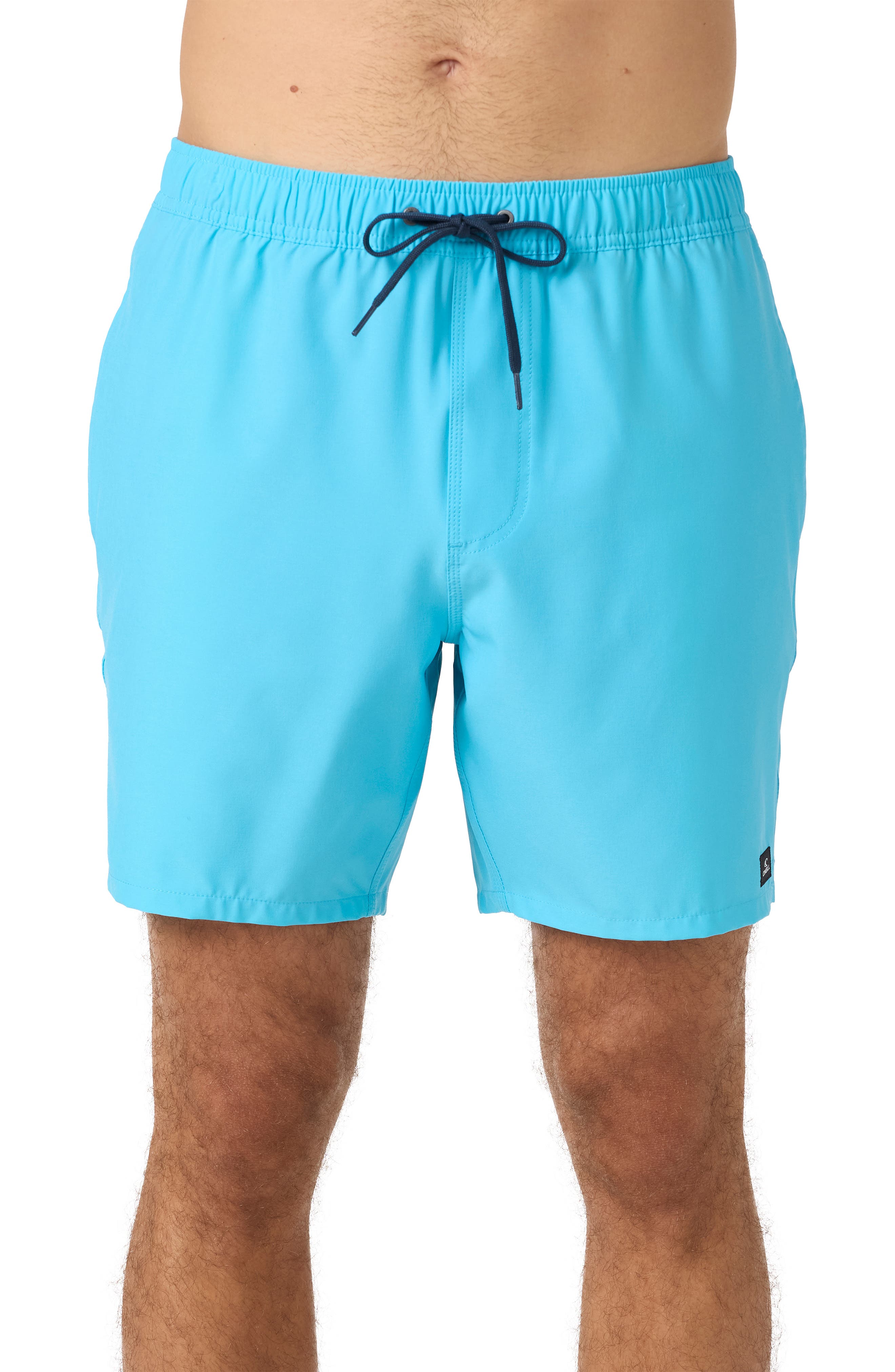 O'Neill Lennox Hermosa Swim Trunks