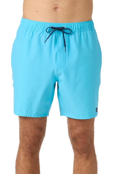 Lennox Hermosa Swim Trunks