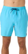 O'Neill Lennox Hermosa Swim Trunks