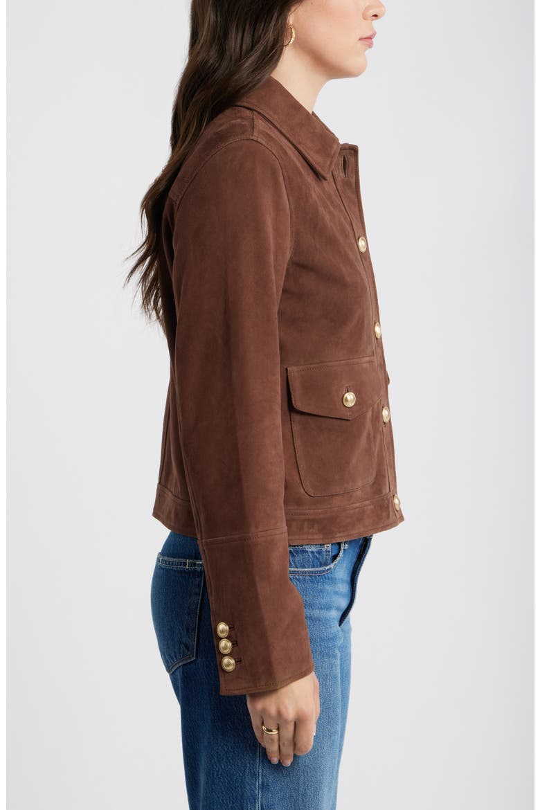 Button Front Suede Jacket, Alternate, color, BROWN