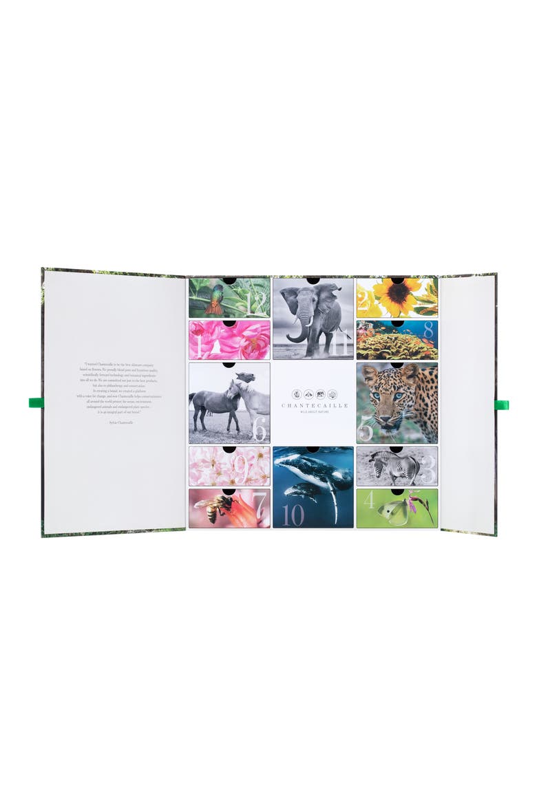 Advent Calendar USD $671 Value, Main, color, NO COLOR