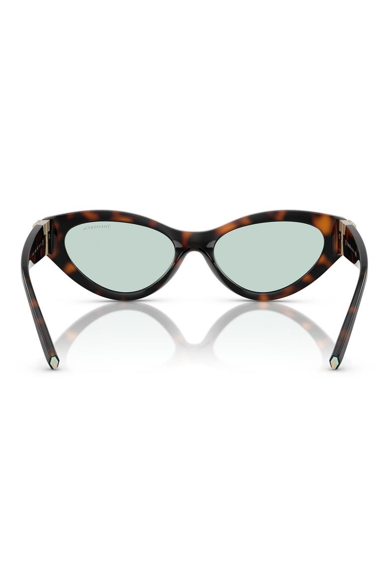 54mm Oval Sunglasses, Alternate, color, HAVANA