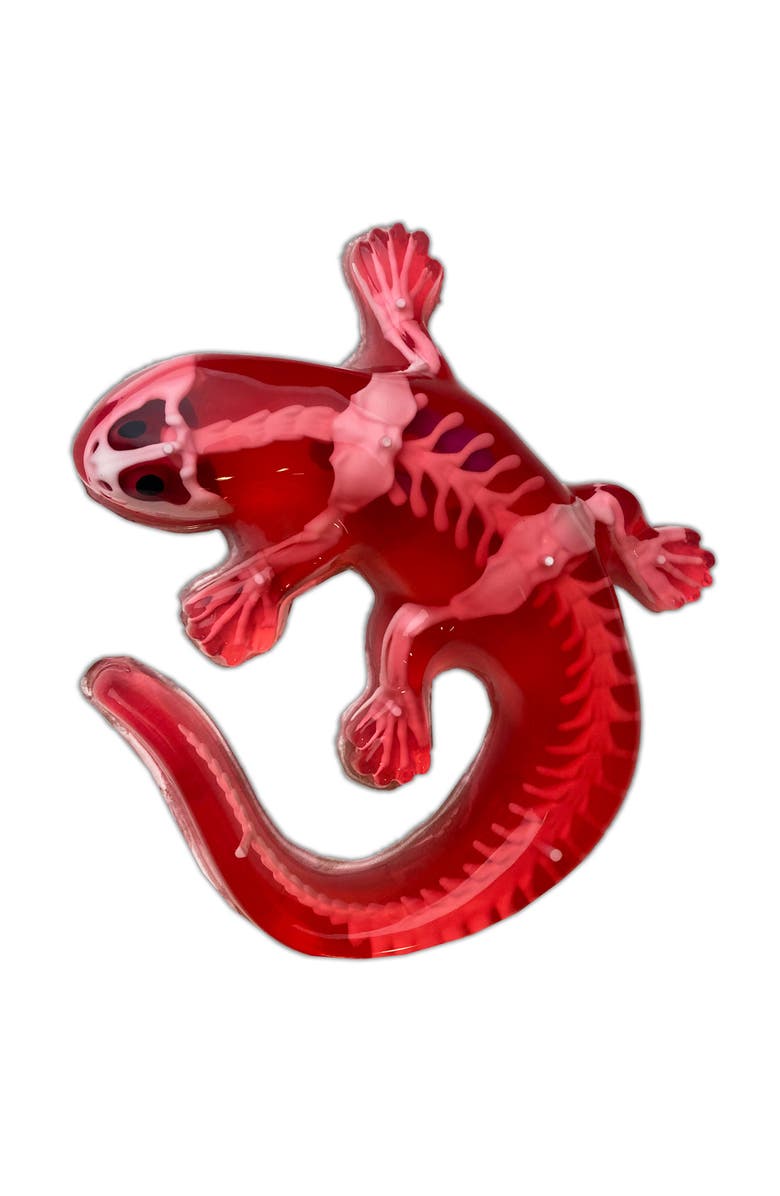 Dissect-It Dissect It Salamander Lab Synthetic Dissection Kit, Alternate, color, 