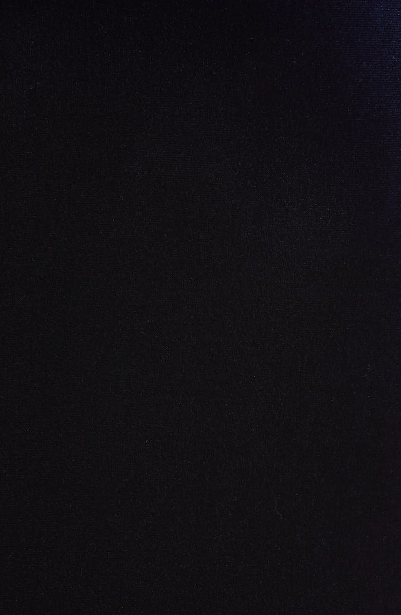 Badgley Mischka Collection Badgley Mischka Long Sleeve Velvet Gown, Alternate, color, 