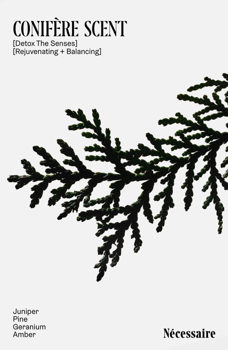 Nécessaire The Detox Shampoo, Alternate, color, 