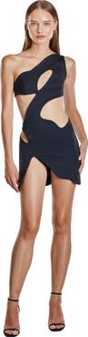 Mother of All Swan Mini Dress