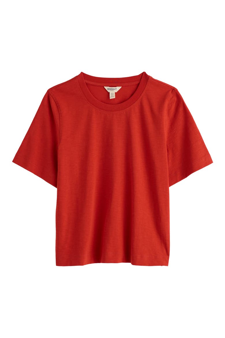 Copseland Organic Cotton T-Shirt, Alternate, color, BRICK