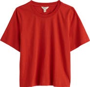 Seasalt Cornwall Copseland Organic Cotton T-Shirt