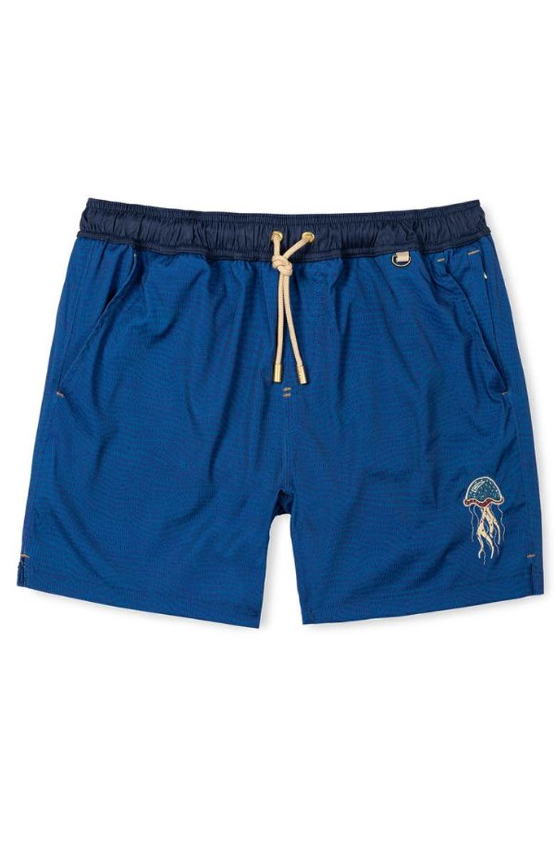 Baja Llama SUPER JELLY - STRETCH SWIMSUIT, Main, color, Navy