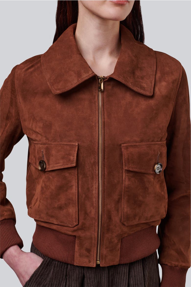 Evie Suede Jacket, Alternate, color, Chestnut