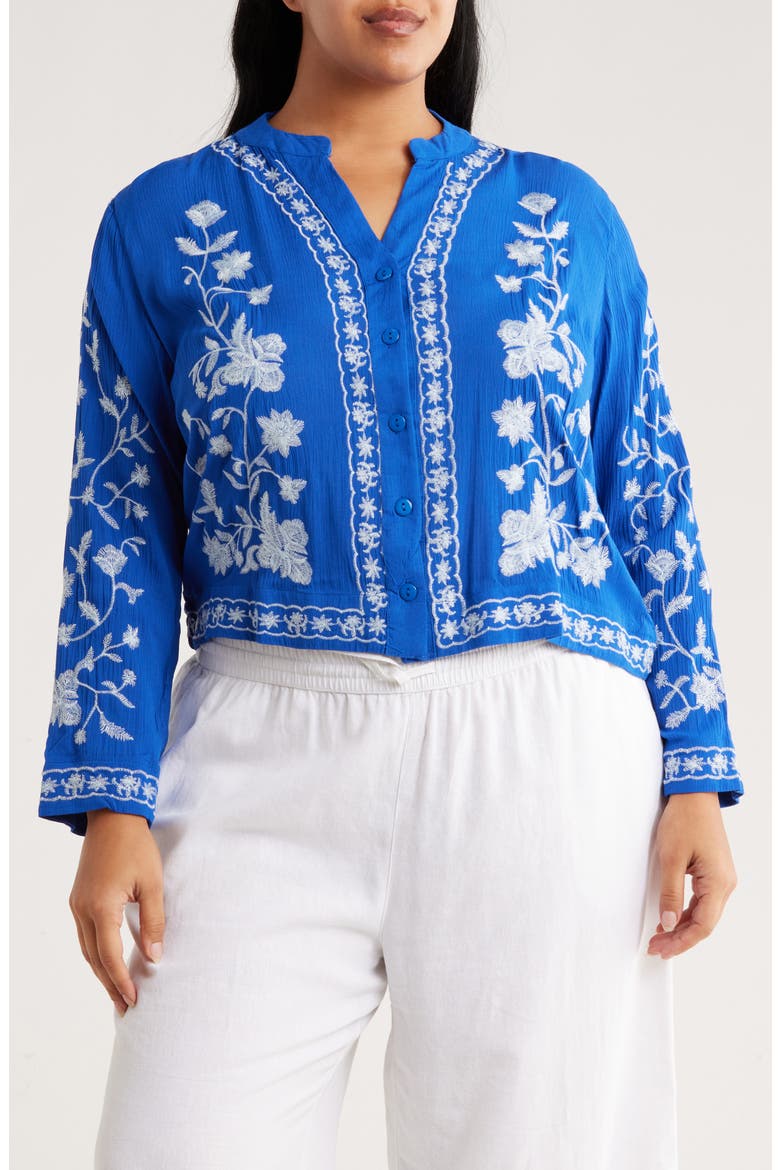 Embroidered Long Sleeve Button-Up Shirt, Main, color, ROYAL/ WHITE
