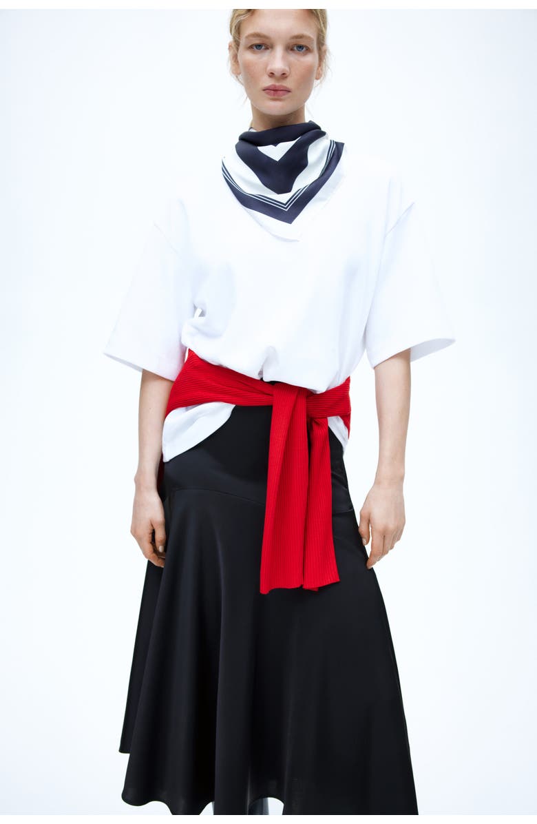 H&M Satin Twill Skirt, Alternate, color, 