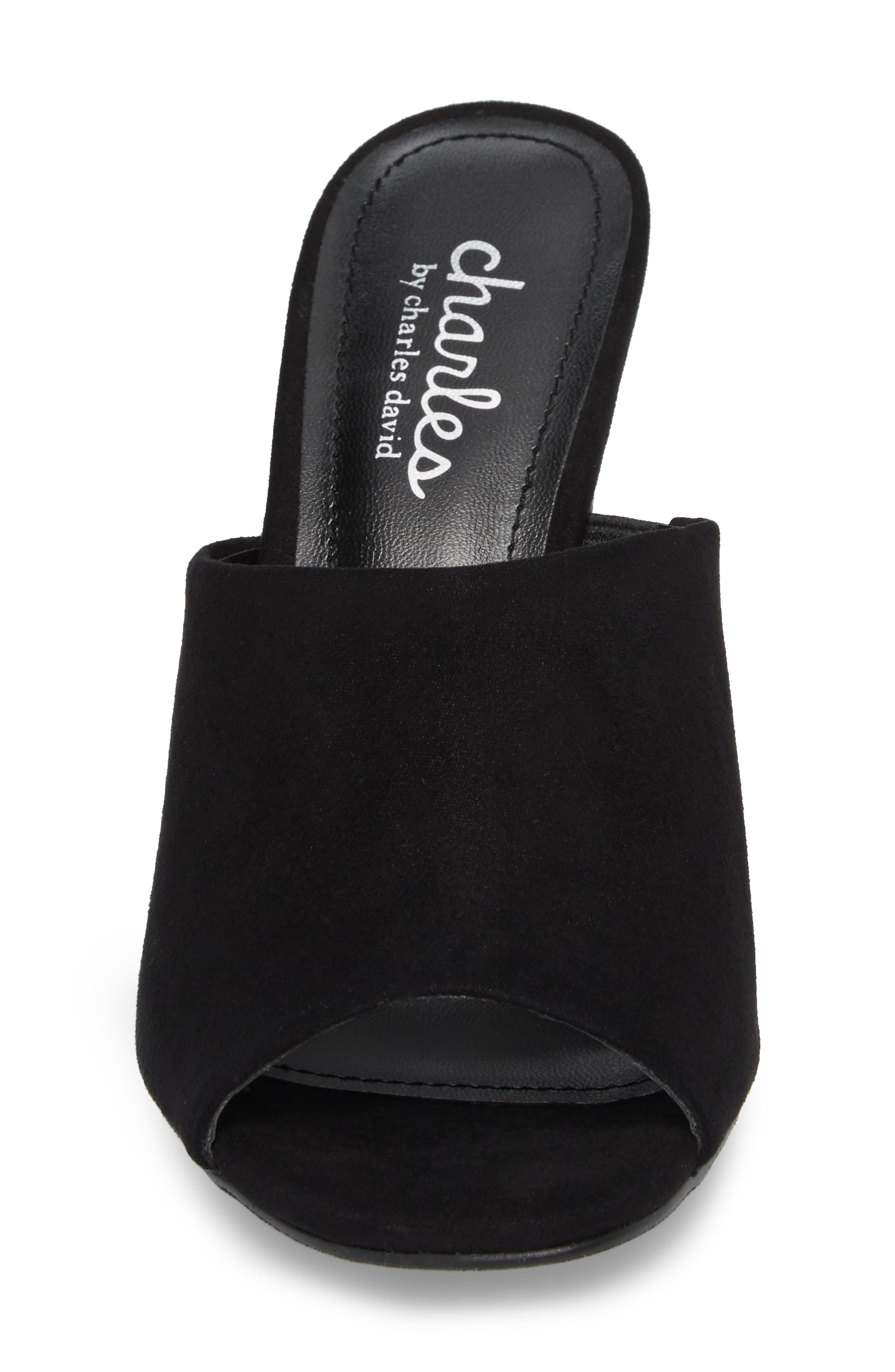 Charles by Charles David Hector Mule, Alternate, color, 