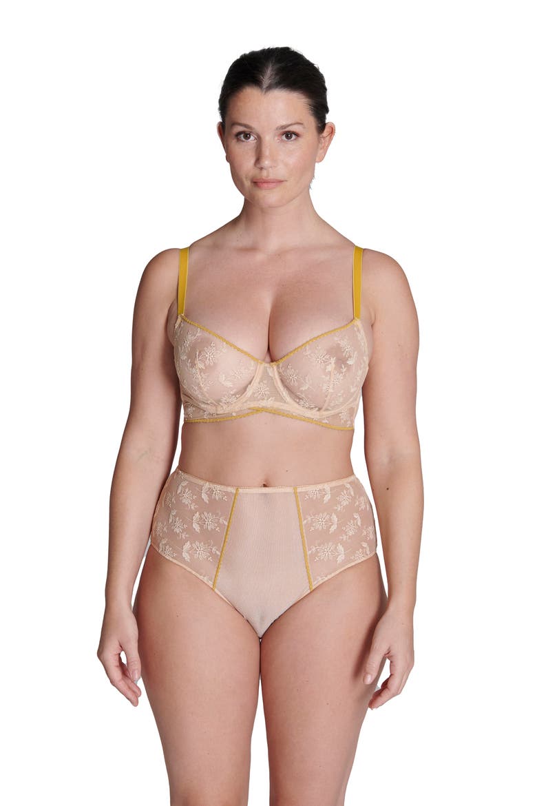 Adele High Waist Lace & Mesh Briefs, Alternate, color, GINGER