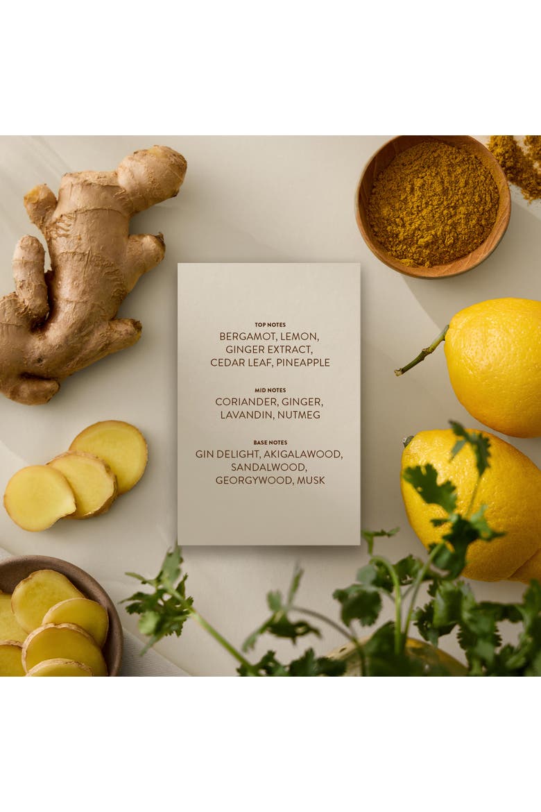 Ginger + Mist Eau de Parfum, Alternate, color, 10ml